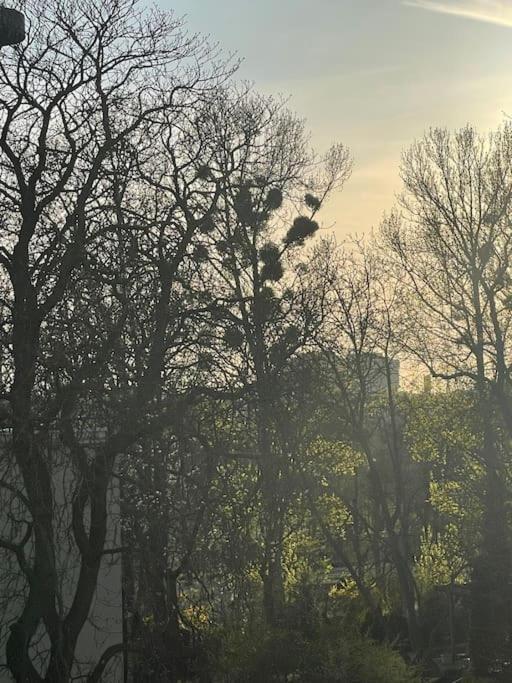 Stilvolles Augarten Refugium Apartamento Viena